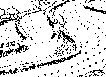 371x270 8. Bench Terraces - Banaue Rice Terraces Sketch