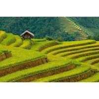 Banaue Rice Terraces Sketch at PaintingValley.com | Explore collection