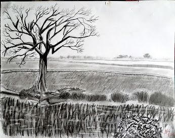 346x274 Bangladesh Sketch Sketch Sketches - Bangladesh Sketch