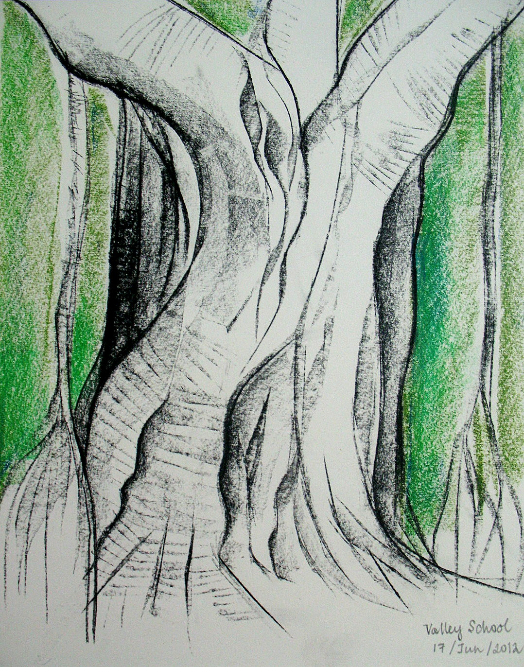 1078x1372 Banyan Tree Pencil Sketch Chummadraw Banyan Tree - Banyan Tree Sketch