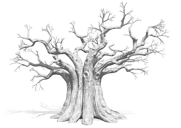 600x424 Faceted Baobab Tree On Behance - Baobab Tree Sketch