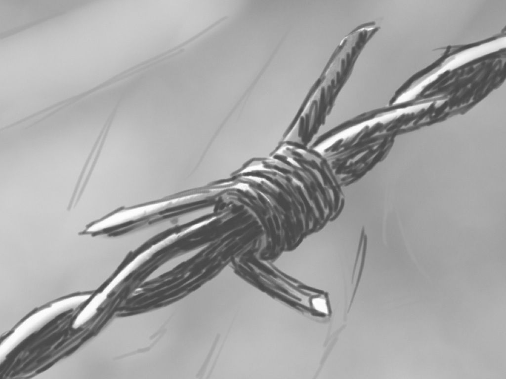 1024x768 Barbed Wire Sketch - Barbed Wire Sketch