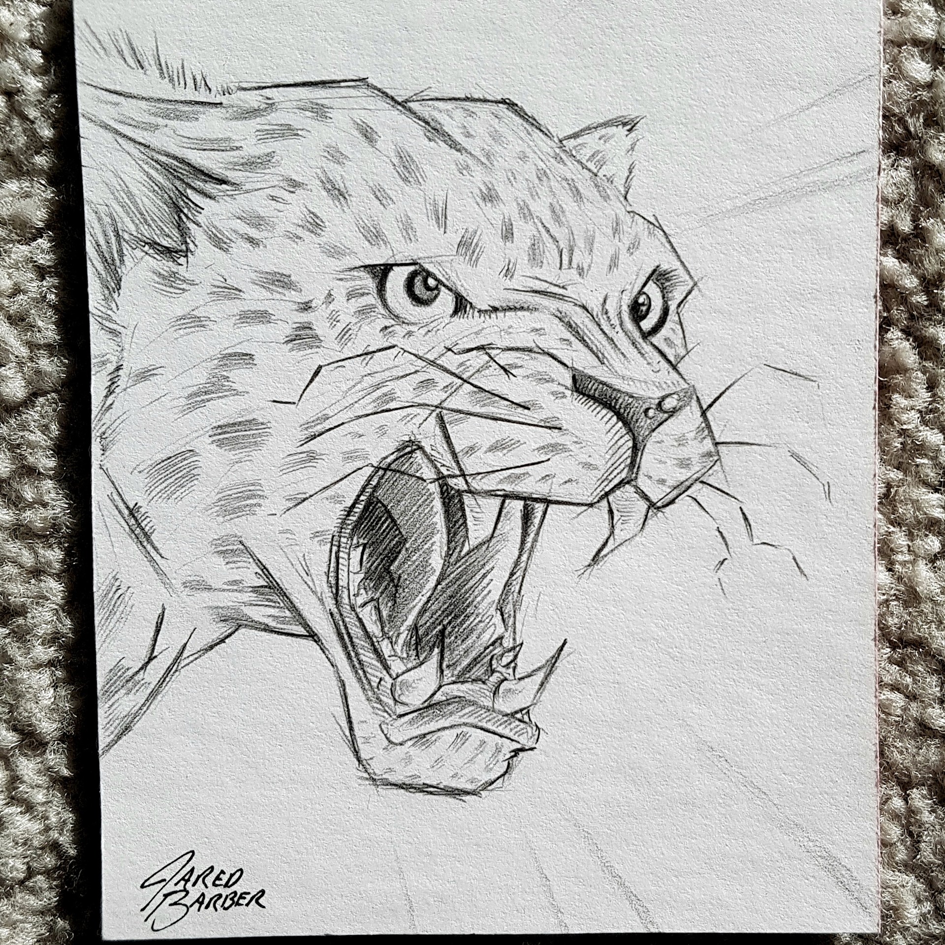 1920x1920 Artstation - Barber Sketch