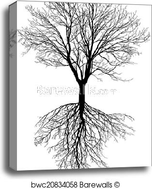 314x390 Canvas Print Of Bare Tree With Roots Barewalls Posters Amp Prints - Bare Tree Sketch