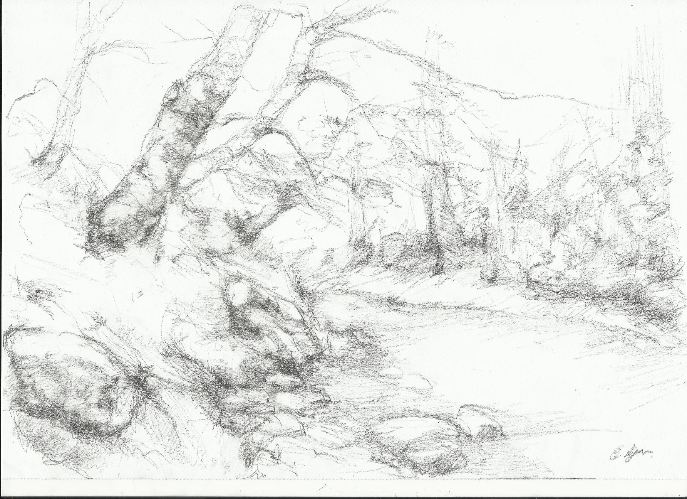 2338x1700 Bare Tree Drawing Nightwithdeer - Bare Tree Sketch