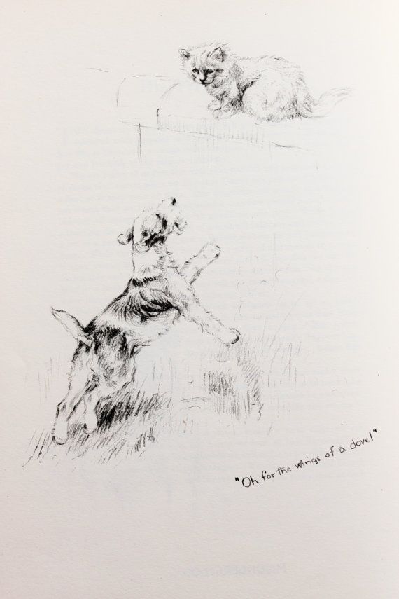 570x855 Terrier Dog Barking - Barking Dog Sketch