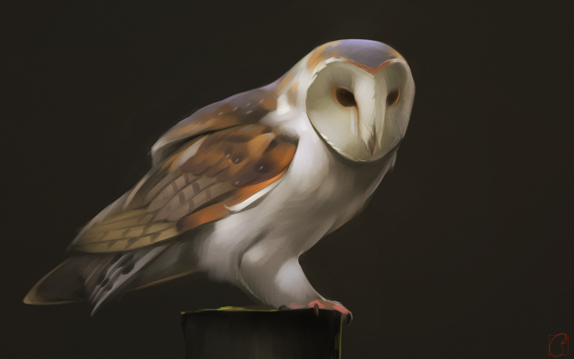 Barn Owl Sketch at PaintingValley.com | Explore collection of Barn Owl ...