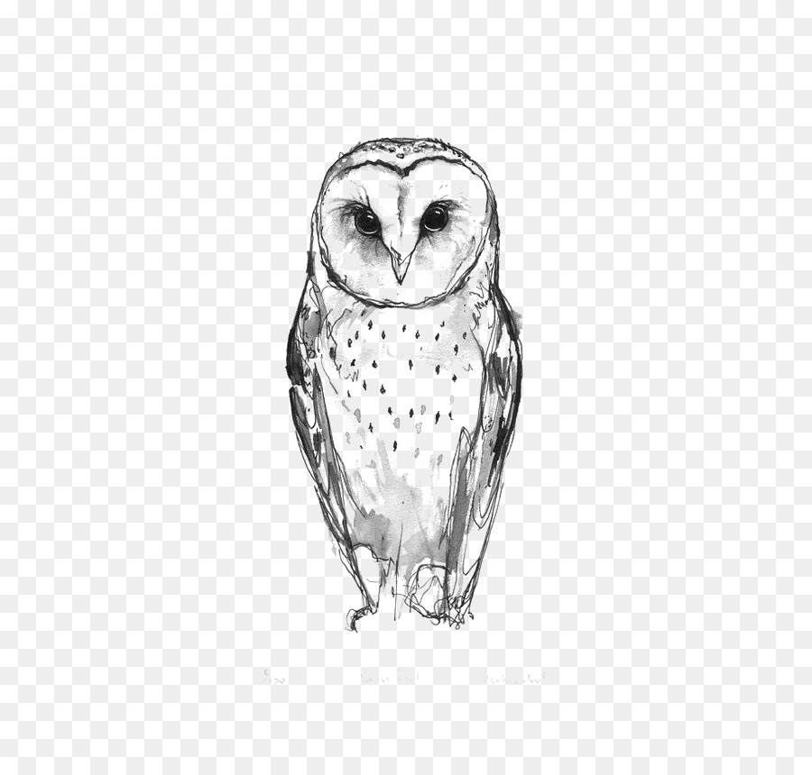 900x860 Barn Owl Tattoo Idea Drawing - Barn Owl Sketch