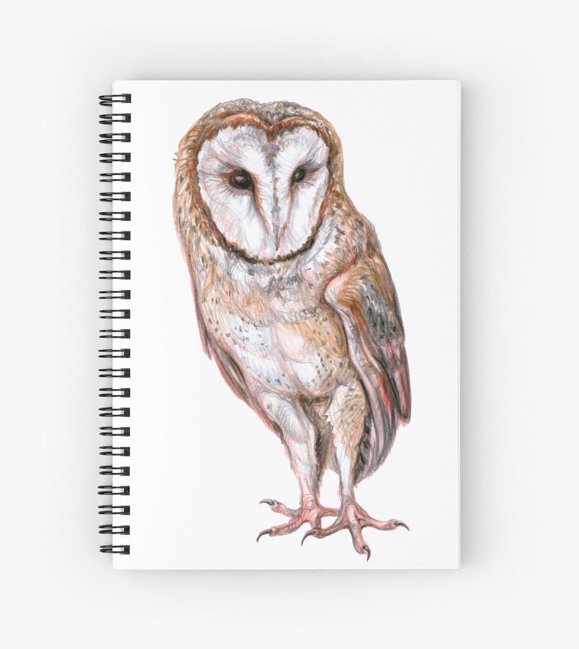 1171x1313 Barn Owl Drawing Spiral Notebooks By Stasia Ch Redbubble - Barn Owl Sketch