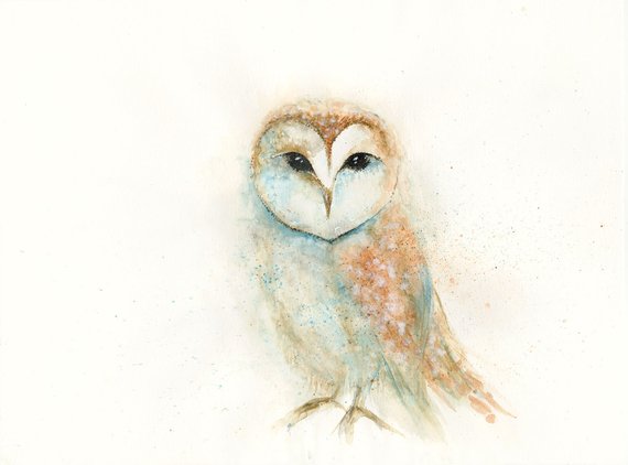 570x422 Barn Owl Sketch I Print Etsy - Barn Owl Sketch