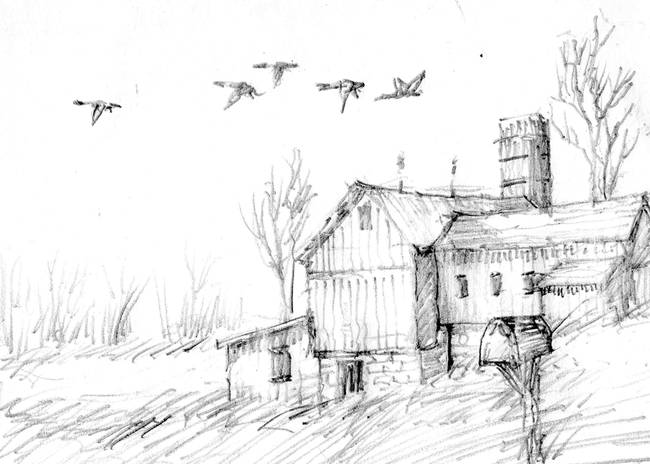 650x464 Barn Amp Geese Sketch By The Coffin Family - Barn Sketch