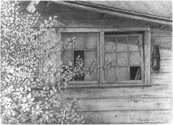 555x402 Barns Grass Rocks And Water - Barn Sketch