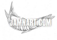 200x143 Barracuda Custom Sketch - Barracuda Sketch
