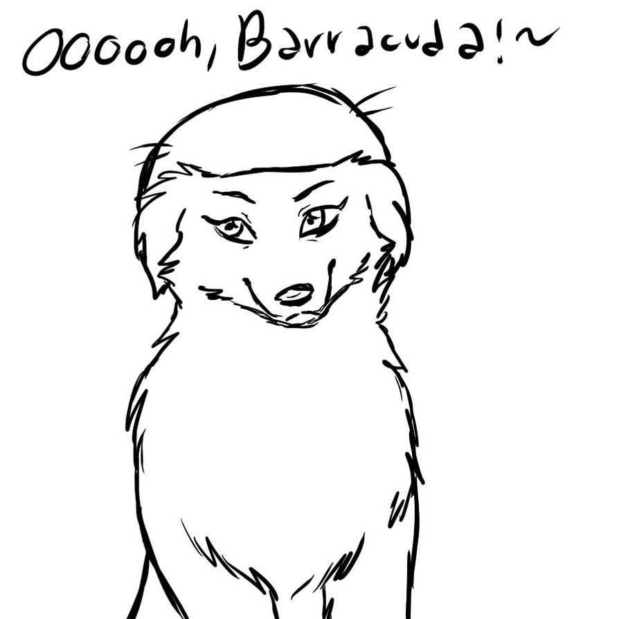 894x894 Barracuda Sketch. By Auwawau - Barracuda Sketch