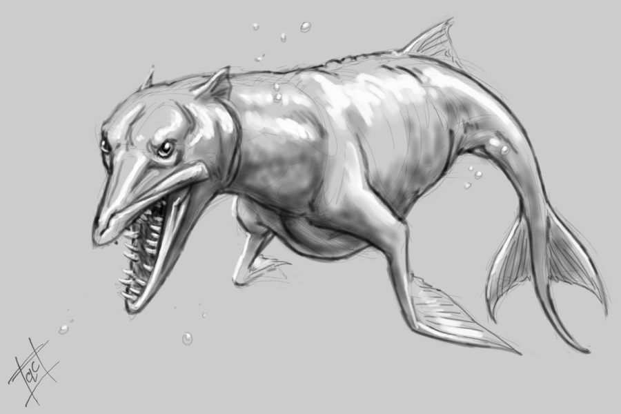 900x600 Greyhound Barracuda Paper Nautilus - Barracuda Sketch