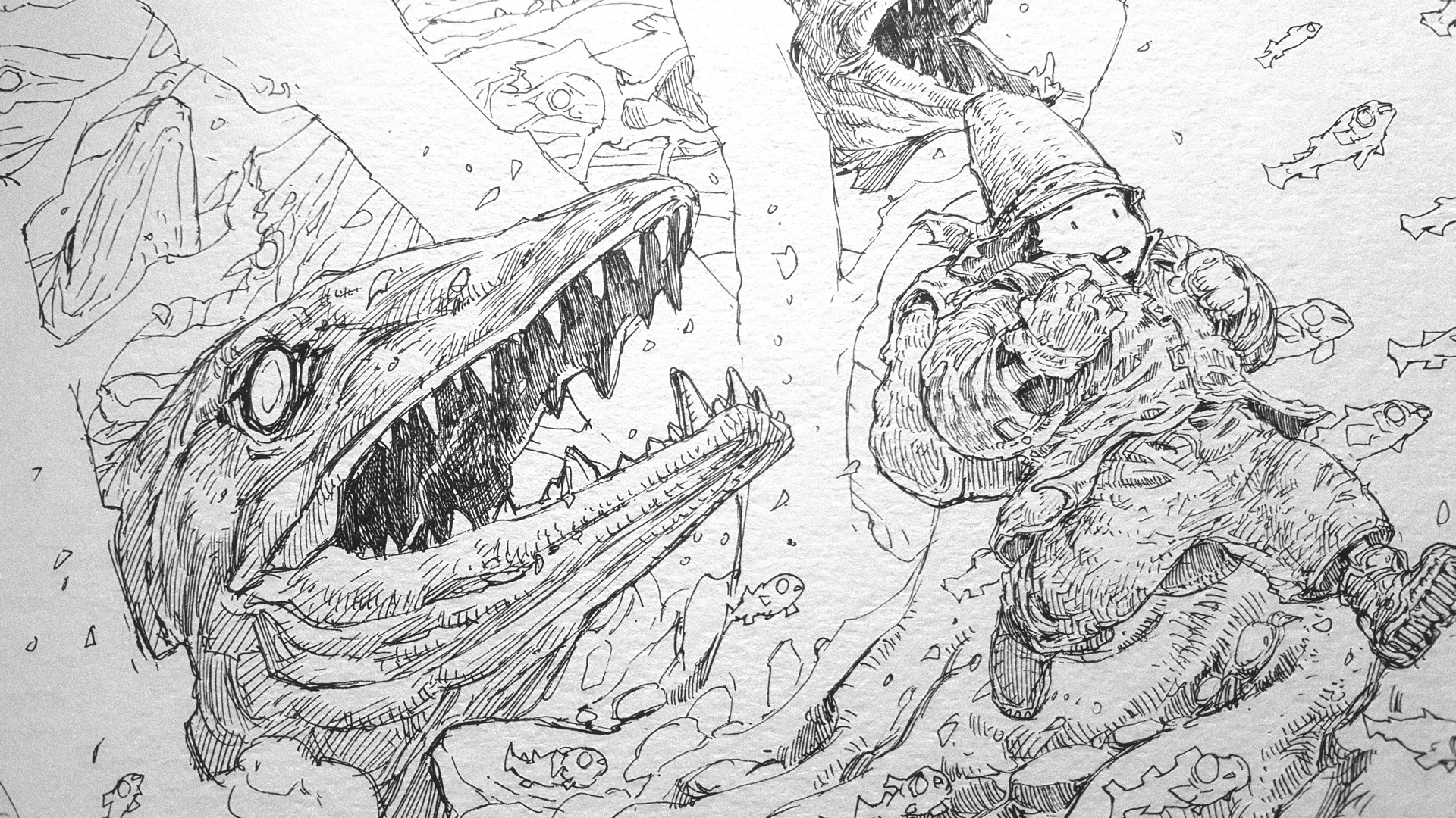 1920x1080 Peter Han - Barracuda Sketch