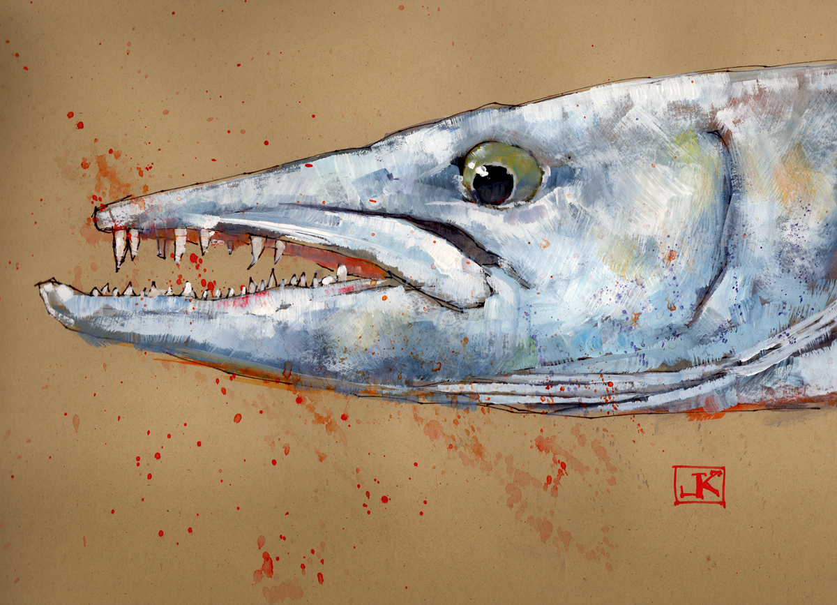 1200x867 Drawing Flies 365 Drawing Fish 52 46 Barracuda - Barracuda Sketch