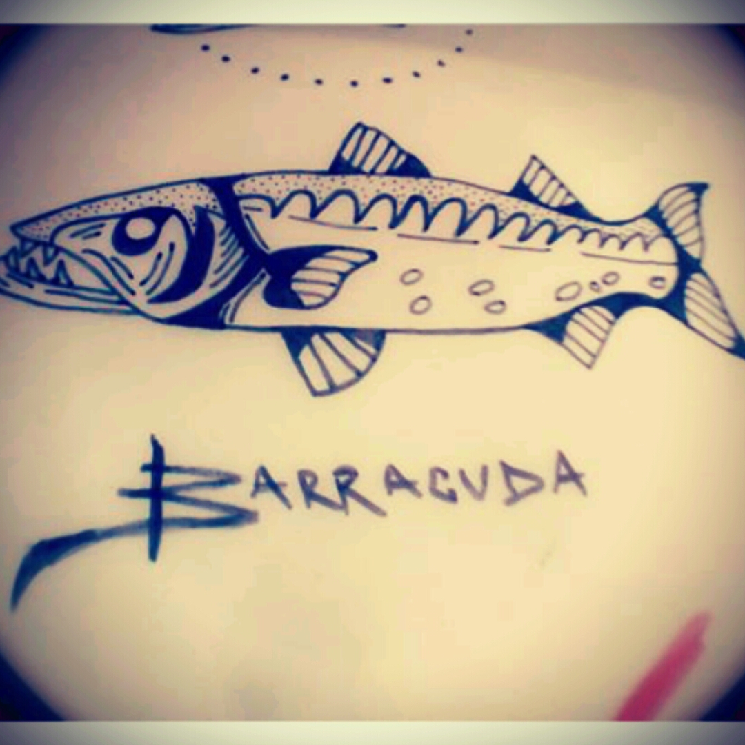1080x1080 Miloguemes - Barracuda Sketch