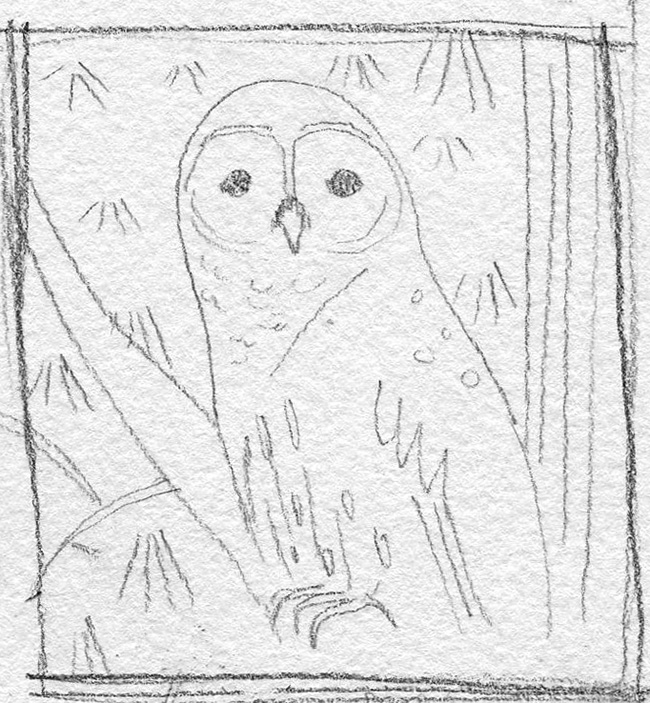 650x703 Barred Owl Sketch Gina Perry Illustrations - Barred Owl Sketch