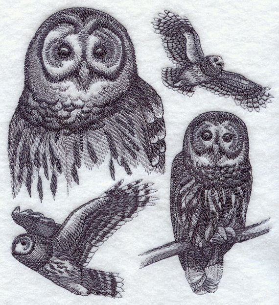 570x622 Barred Owl Sketch Machine Embroidered Quilt Block Azeb Etsy - Barred Owl Sketch
