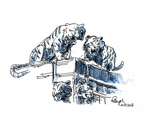 300x234 Baseball Stadium Drawings Fine Art America - Baseball Stadium Sketch