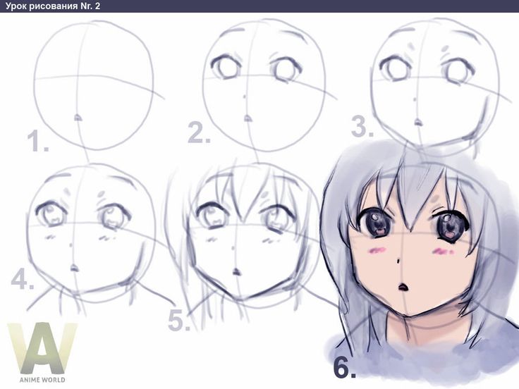 736x552 Photos Drawing Tutorials Anime, - Basic Anime Sketch