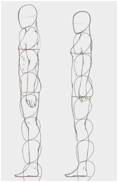 236x364 Human Anatomy Drawing Lessons Wonderfully Human Anatomy - Basic Body Sketch