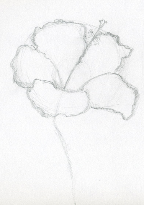 Basic Flower Sketch At Paintingvalleycom Explore