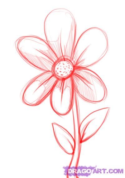 401x569 Simple Drawings Of Flowers - Basic Flower Sketch