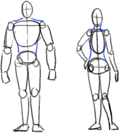 243x269 Image Result For Bara Tutorial Cool Artreferences - Basic Human Sketch