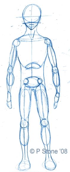 236x581 Step By Step Worksheet How To Draw The Human Body - Basic Human Sketch