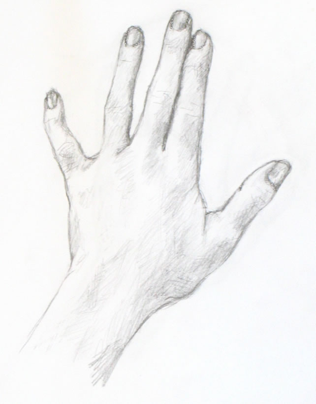 642x820 Drawing Tutorial A Simple Drawing Of Your Hand Portrait Artist - Basic Sketch Tutorial