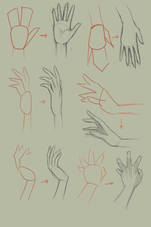 500x750 How To Draw Hands. An Art Tutorial Art - Basic Sketch Tutorial