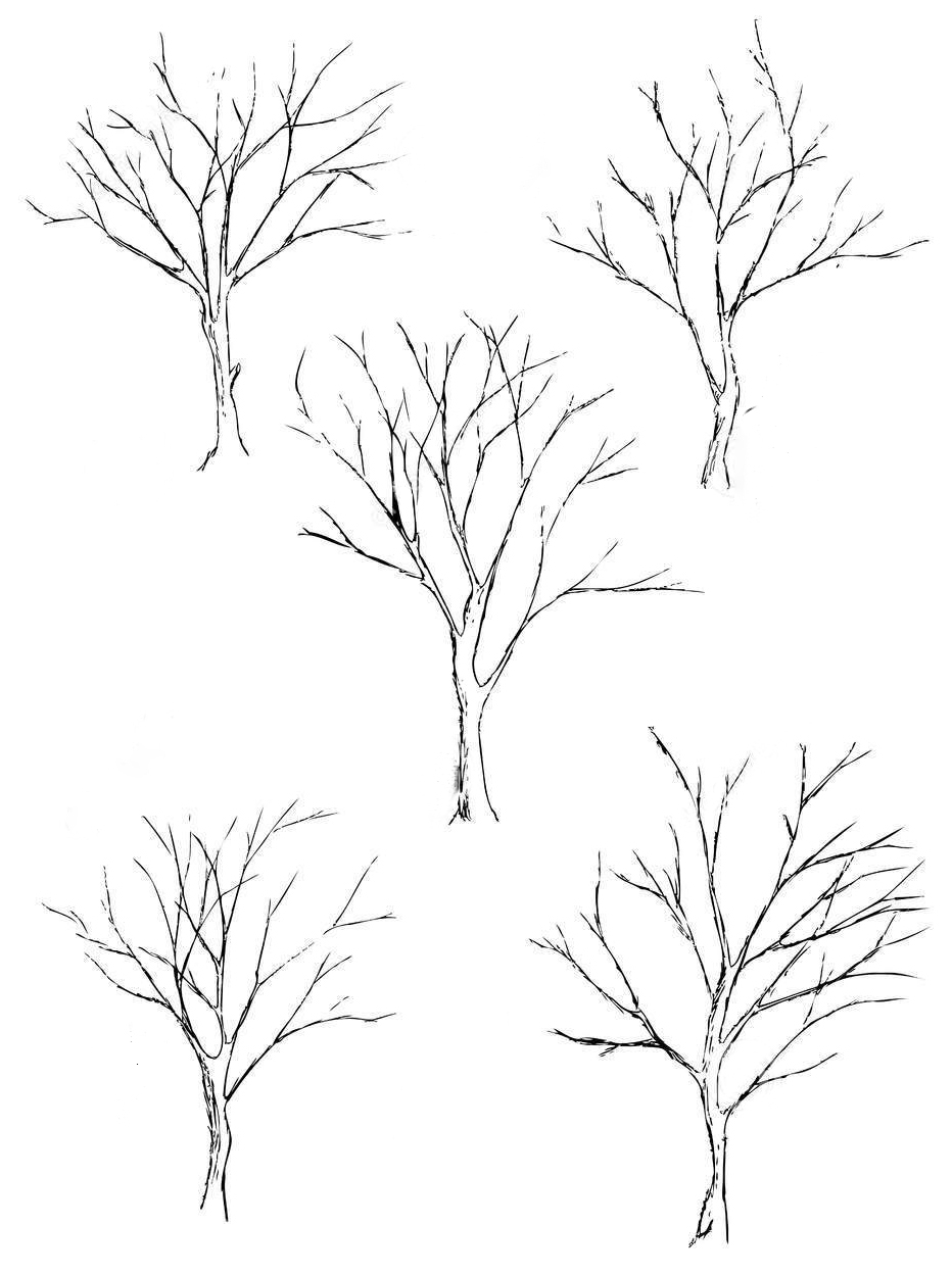 Basic Tree Sketch at PaintingValley.com | Explore collection of Basic ...