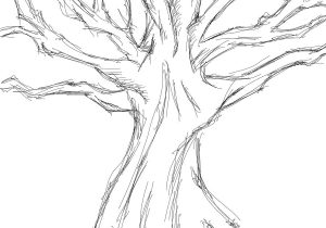 Basic Tree Sketch at PaintingValley.com | Explore collection of Basic ...