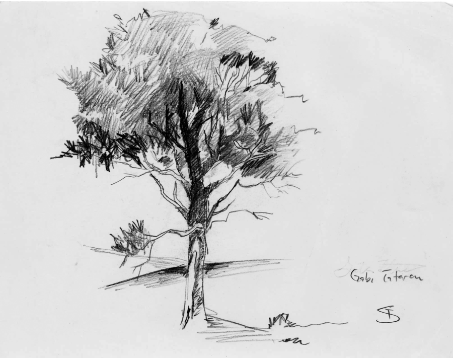 900x711 Basic Tree Sketch By Doodleopolis - Basic Tree Sketch