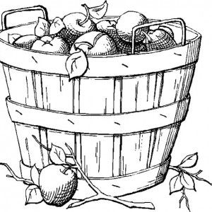 300x300 Image Result For Basket Of Apples Sketch Apple - Basket Sketch