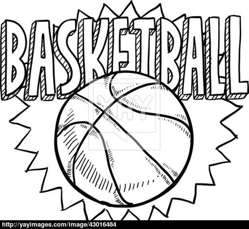 512x471 Basketball Sketch Vector - Basketball Sketch Images