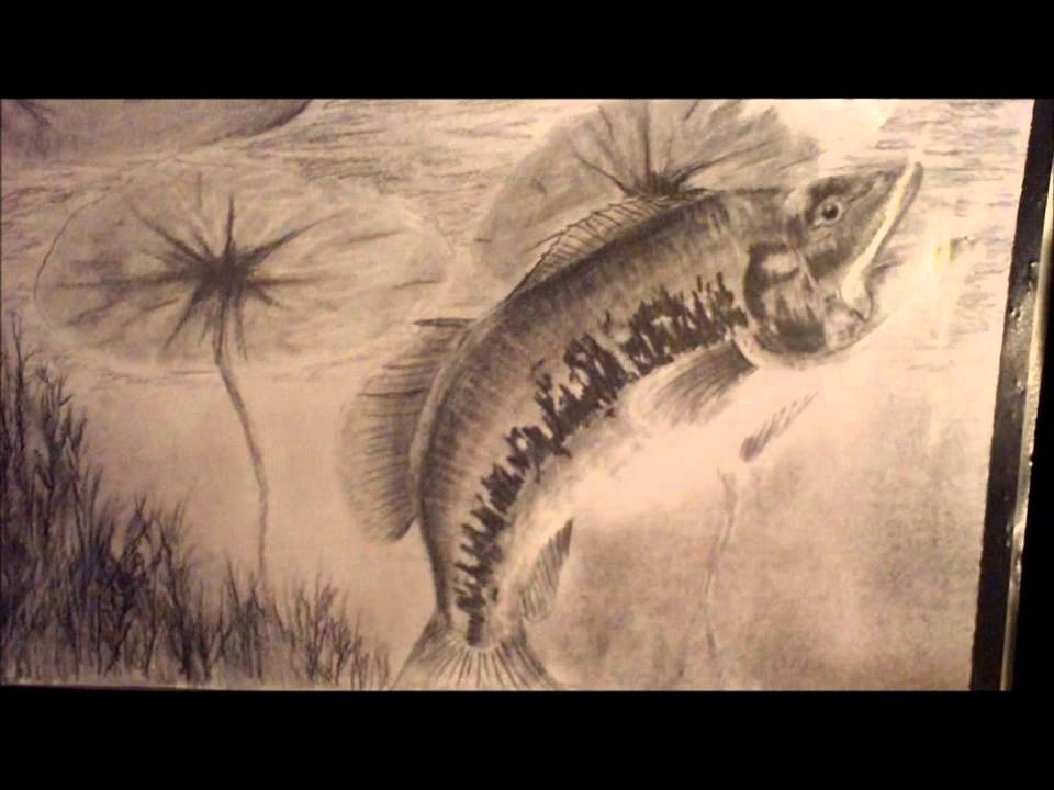 960x720 Drawing Of A Bass (Fish) - Bass Fish Sketch