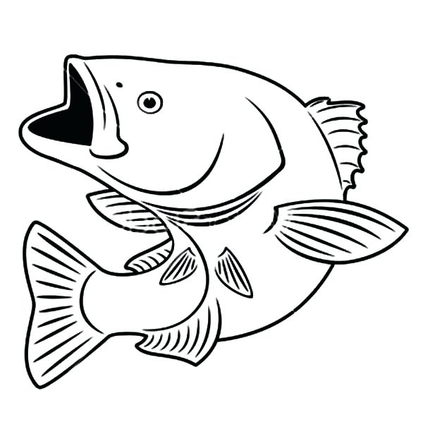 600x632 Bass Coloring Pages Printable Coloring Pages Fish Source - Bass Fish Sketch