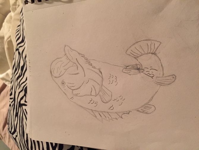 670x503 How To Draw A Bass 5 Steps (With Pictures) - Bass Sketch