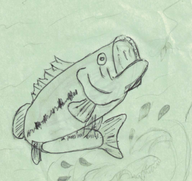 670x631 How To Draw A Bass 5 Steps (With Pictures) - Bass Sketch