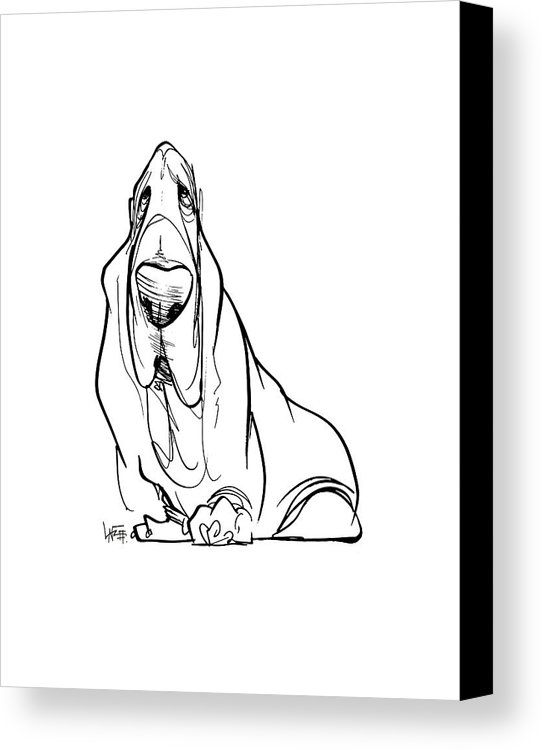 542x750 Basset Hound Gesture Sketch Canvas Print Canvas Art By John Lafree - Basset Hound Sketch