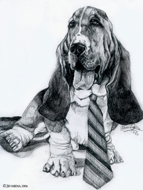 545x724 Basset Hound By Lillidan86 By Dogs - Basset Hound Sketch