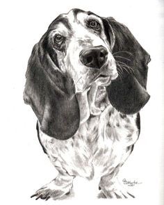236x295 Dog Art Pet Art Dog Portraits Dog Paintings Henry The - Basset Hound Sketch