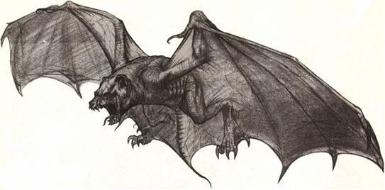 543x268 Image - Bat Sketch