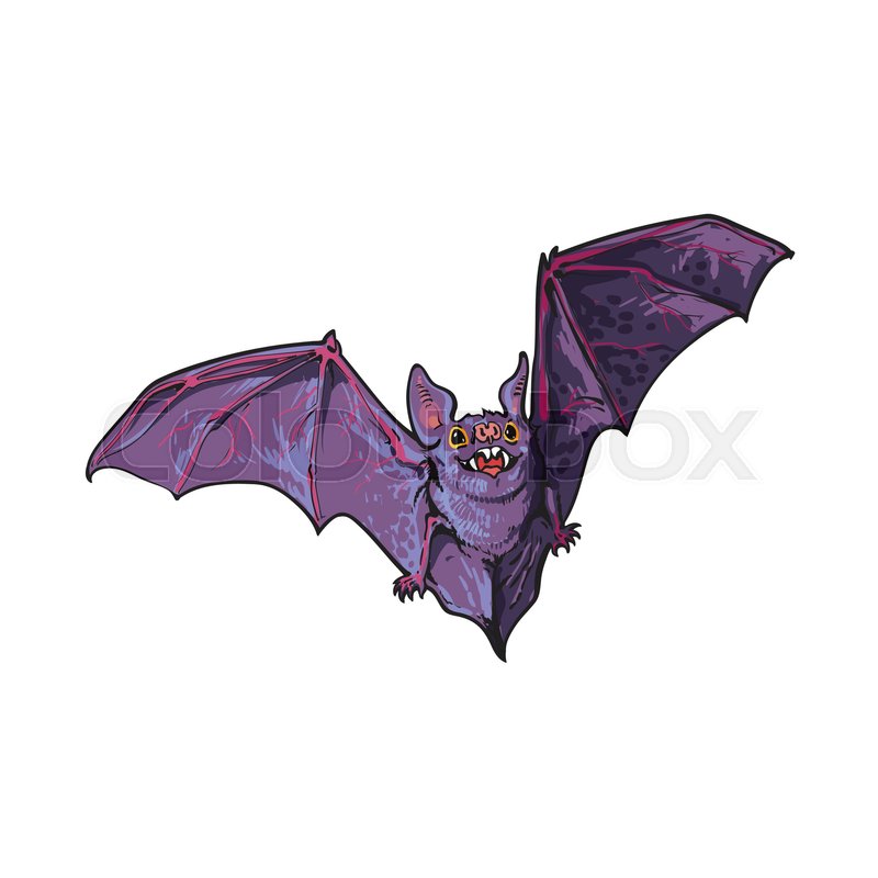 800x800 Scary Flying Halloween Vampire Bat, Sketch Style Vector - Bat Sketch