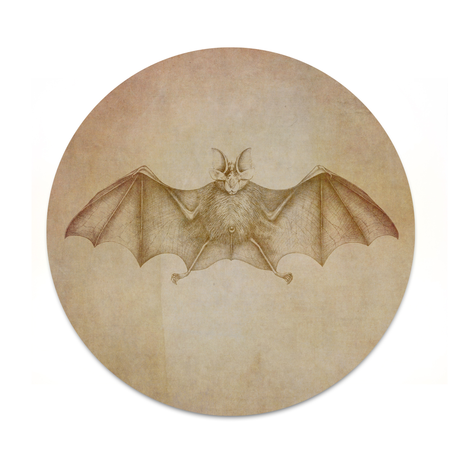 1600x1600 Bat Sketch 2 Sticker Set For Pop Grip Stent For Phones And Tablets - Bat Sketch