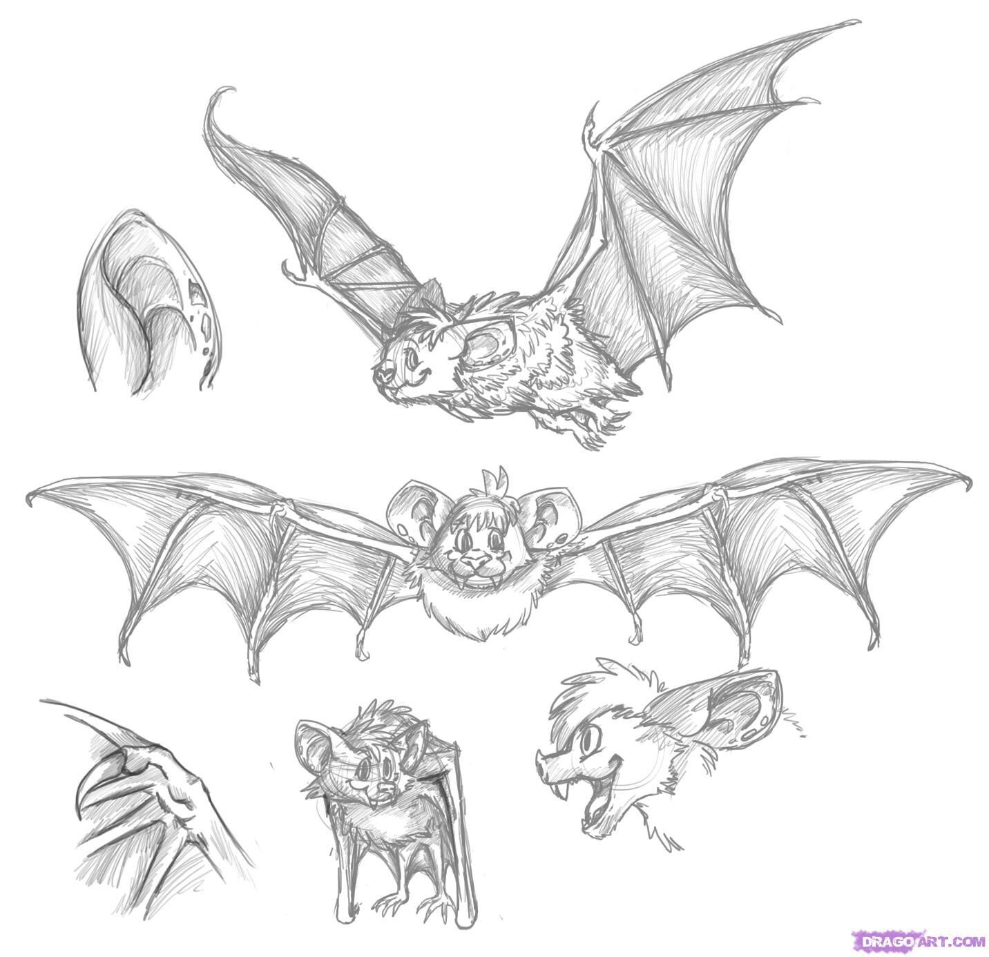 1432x1386 Bat Drawings Animal Character Design Drawings - Bat Sketch Drawing