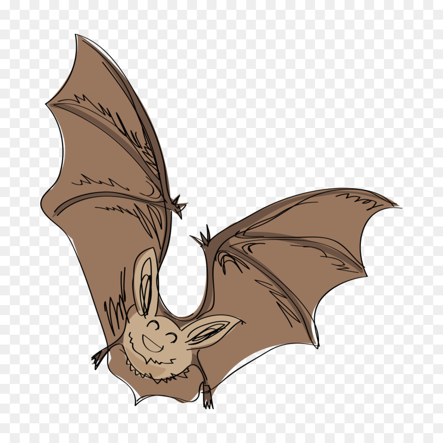 900x900 Bat Drawing Sketch - Bat Sketch Drawing